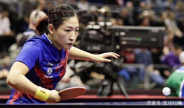 篮的执教生 篮的执教生