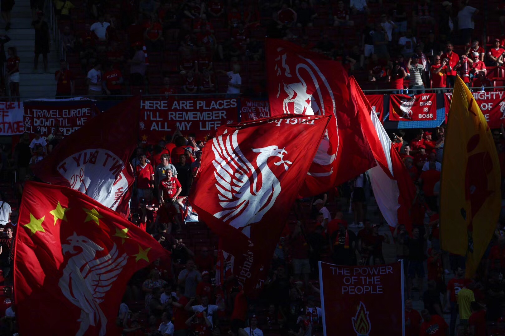 情绪动员 情绪动员